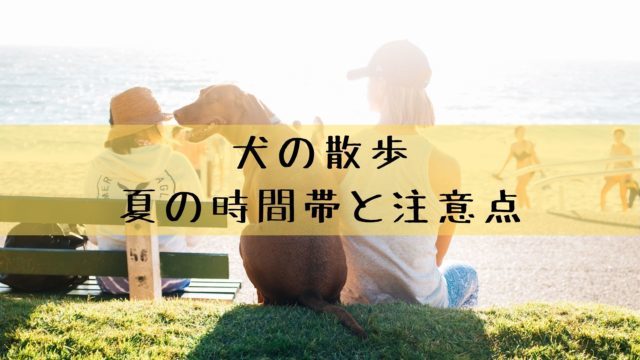 犬の肛門腺絞りの頻度とタイミング 素人でも自宅でケアできます 犬グッズ情報サイト わんコミ