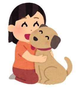 犬用ブラシ ファーミネーター の評判や特徴 抜け毛対策におススメ 犬グッズ情報サイト わんコミ