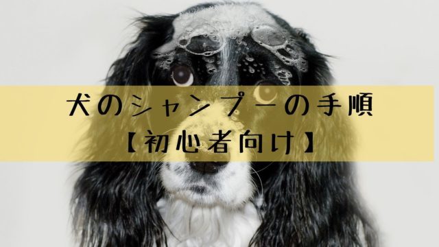 犬の肛門腺絞りの頻度とタイミング 素人でも自宅でケアできます 犬グッズ情報サイト わんコミ