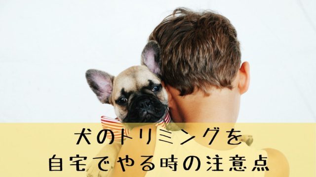 こう もん せん 絞り 頻度 犬の肛門腺絞りが必要な理由 やらないと一体どうなる