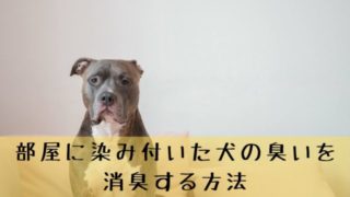 犬用ブラシ ファーミネーター の評判や特徴 抜け毛対策におススメ 犬グッズ情報サイト わんコミ