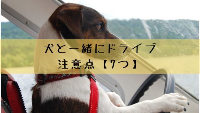 犬が花を食べるけど大丈夫 有害な植物を食べた時の症状と対処方法 犬グッズ情報サイト わんコミ