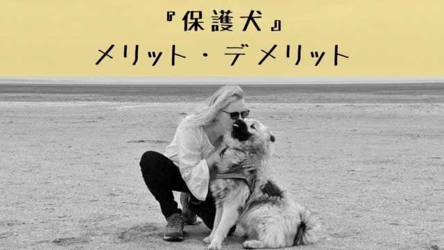 保護犬のメリットとデメリット 魅力満載の保護犬を迎え入れよう 犬グッズ情報サイト わんコミ