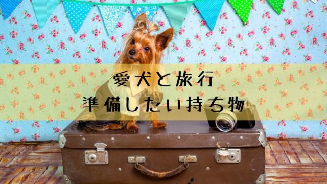 愛犬との旅行で準備したい持ち物 快適ドライブ 旅先でも安心 犬グッズ情報サイト わんコミ