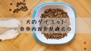 犬用 ふりかけ おススメ７選 ご飯を食べない時はトッピングしよう 犬グッズ情報サイト わんコミ