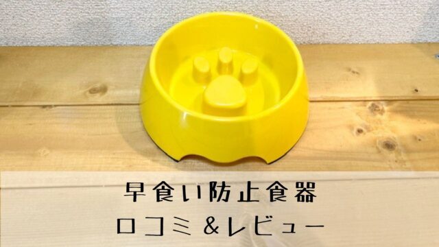 犬の 早食いを防止する食器 効果はある 口コミ レビュー 犬グッズ情報サイト わんコミ